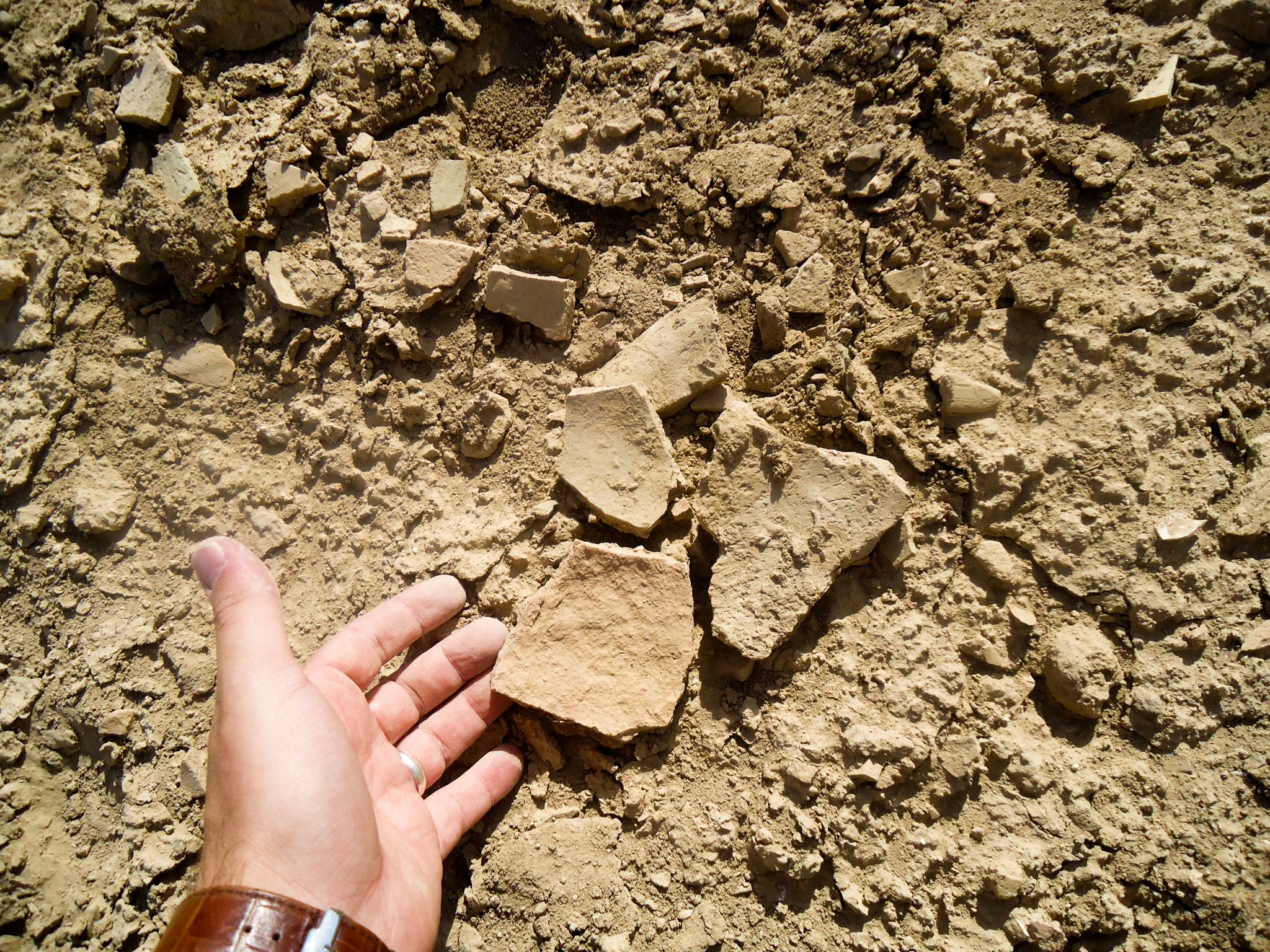 Visiting the Ancient City of Kish – World History Foundation
