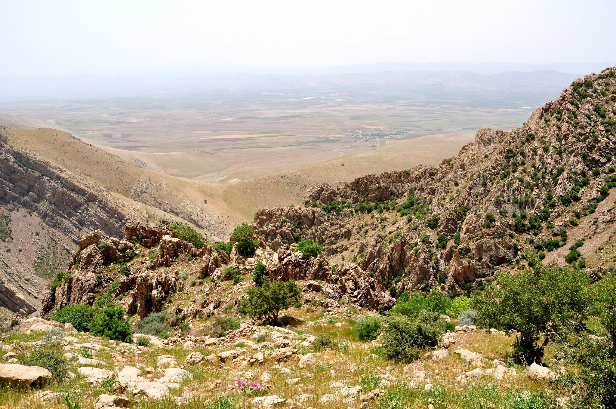 Rock-reliefs of Mountain Merquli, Rabana and their near by settlements, Iraqi Kurdistan.