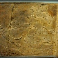 Assyrian Lion