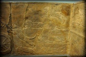 Assyrian Lion