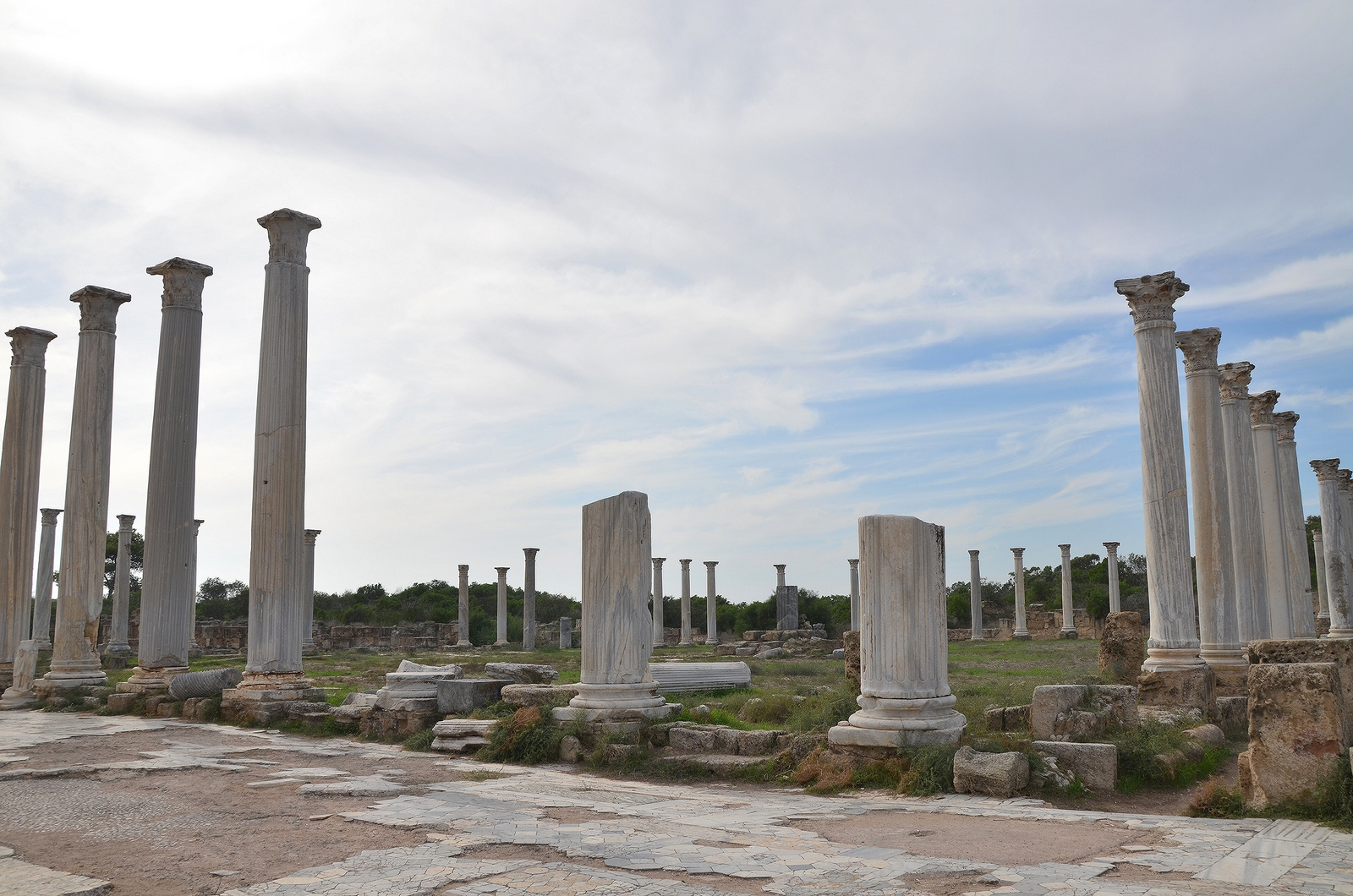 Wandering Along the Colonnade of the Gymnasium of Salamis, Cyprus