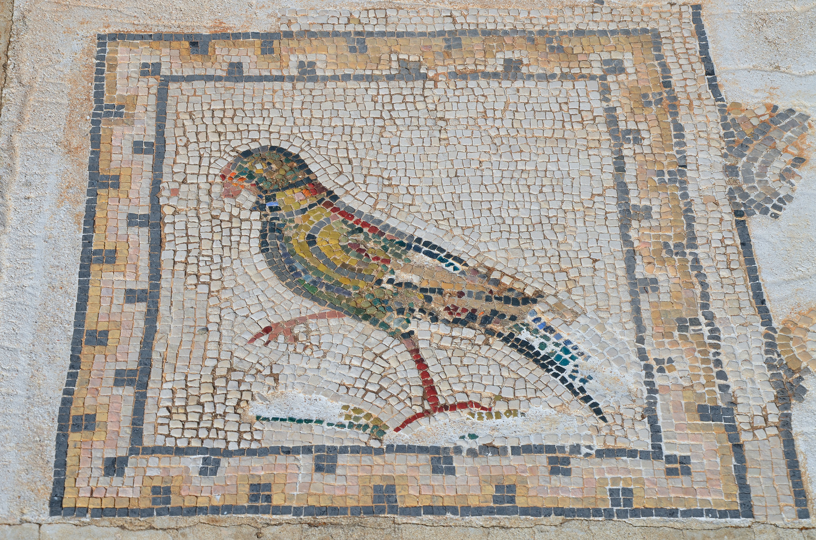 Mosaics of Spain’s Roman Baetica Route: Italica
