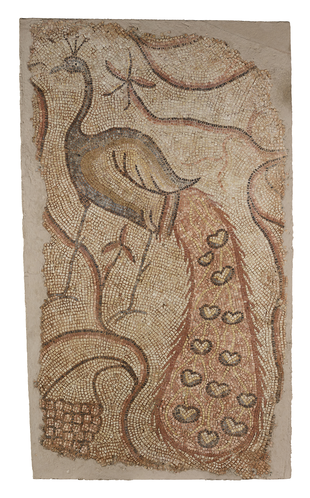 Roman Shell The Grandeur of Roman Mosaics – World History Foundation