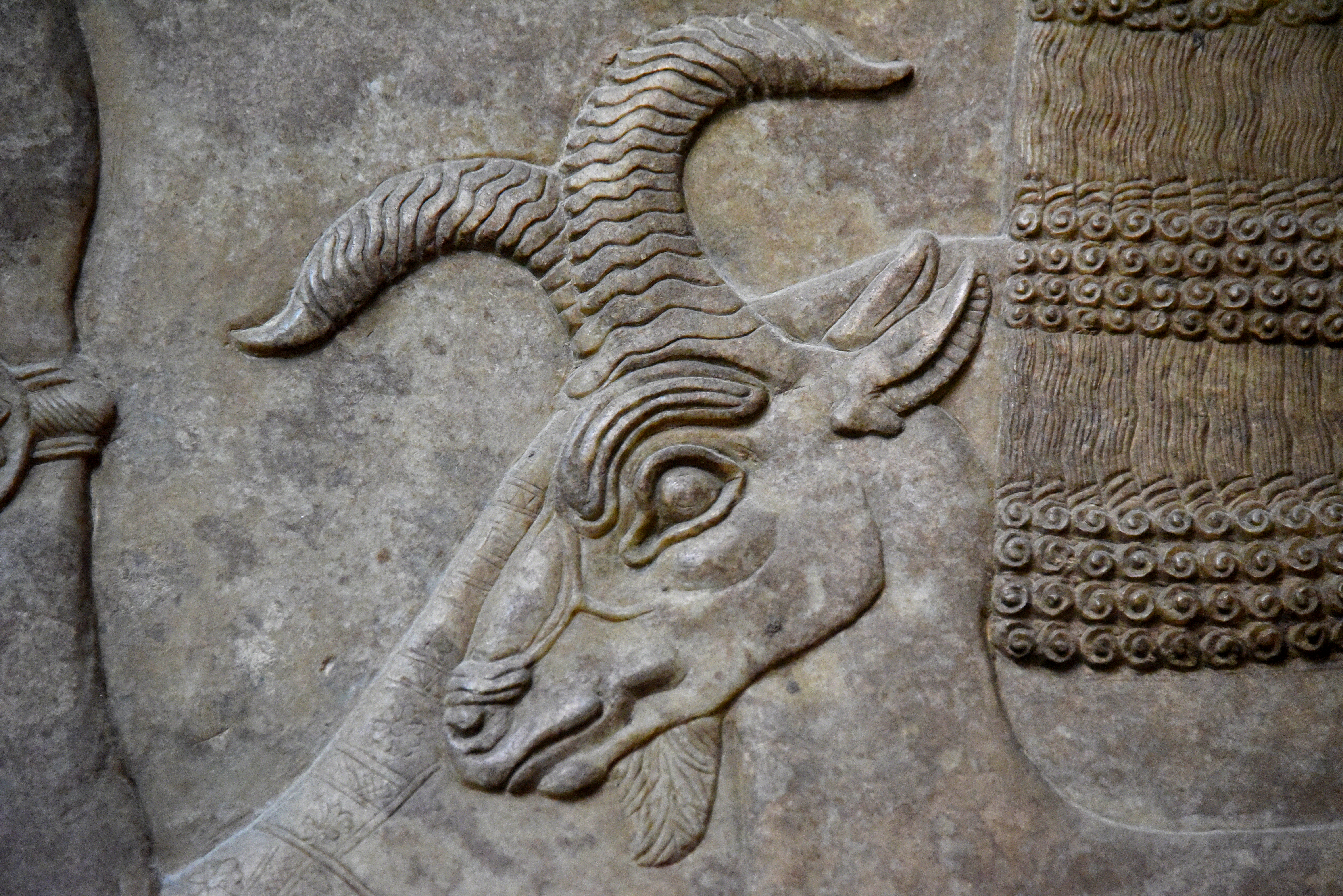 Wall Reliefs: Assyrian Apkallus from Nimrud holding a Goat and Deer